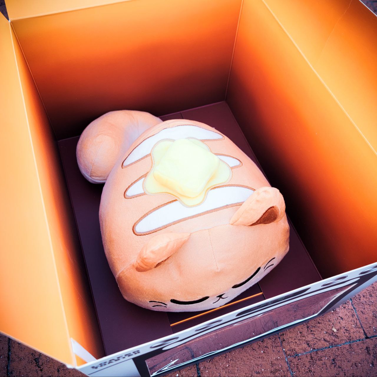 LOAF CAT PLUSH + DISPLAY BOX