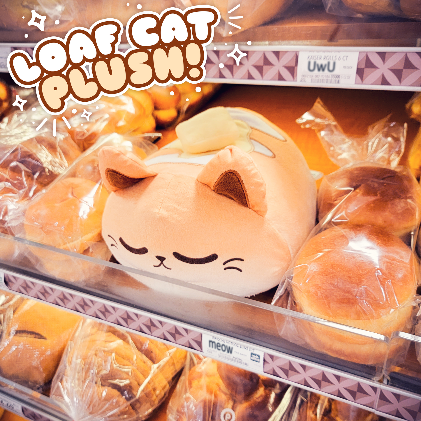 LOAF CAT PLUSH + DISPLAY BOX