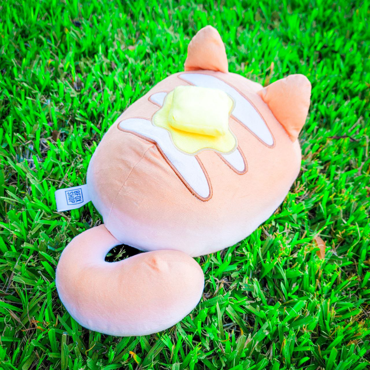 LOAF CAT PLUSH + DISPLAY BOX